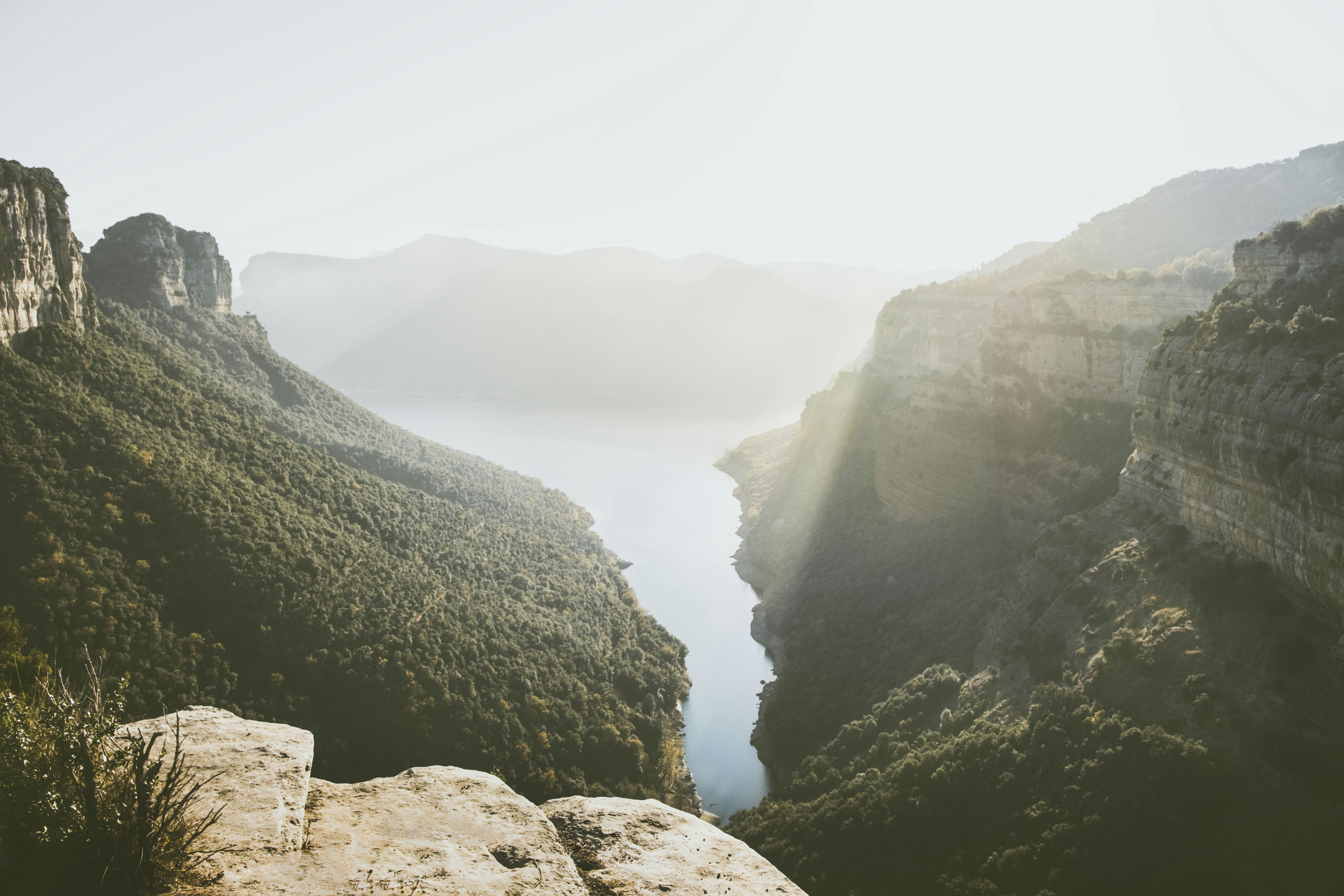 Photo by absolutocaos