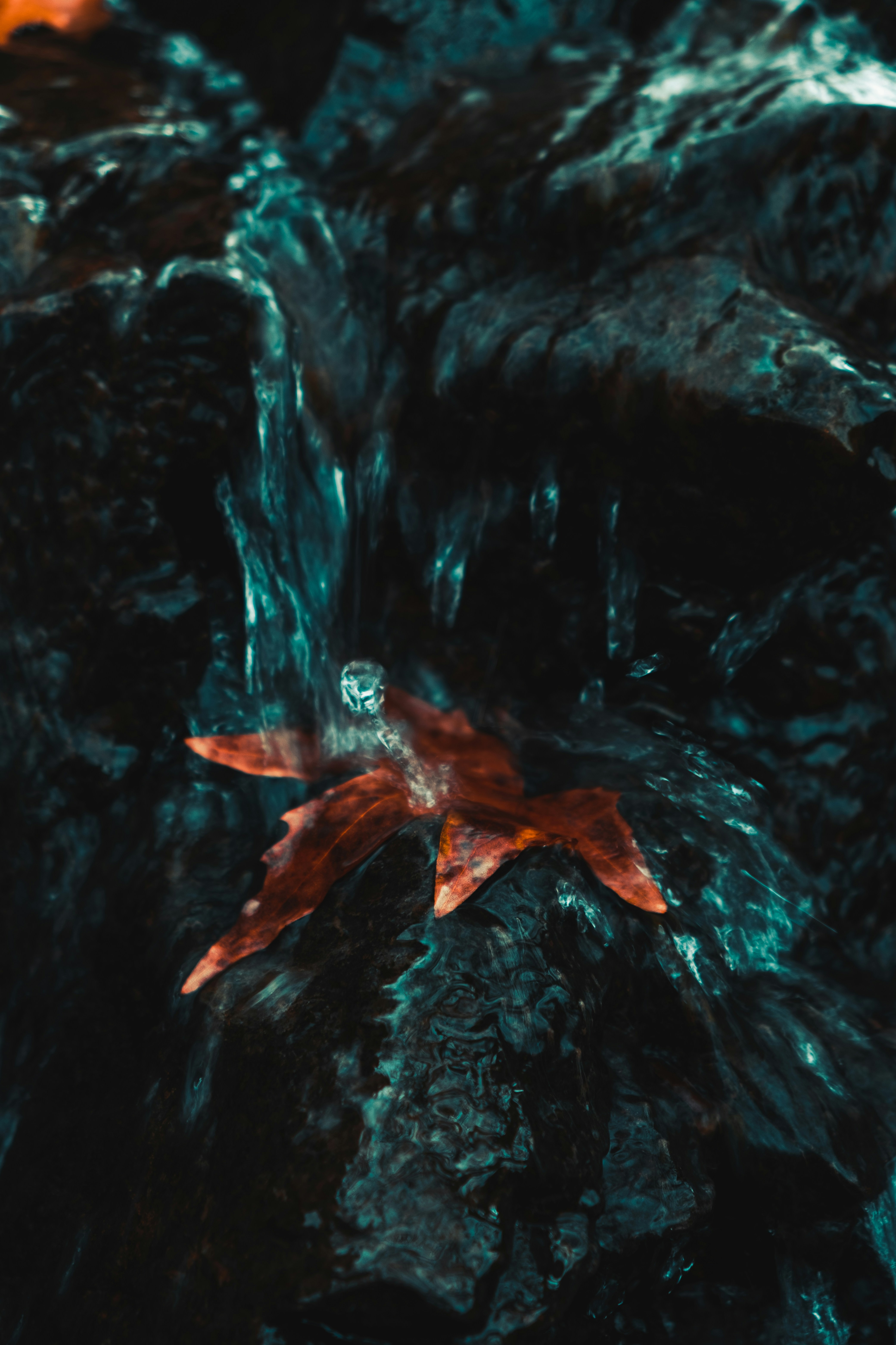 Supper Club: November 2024