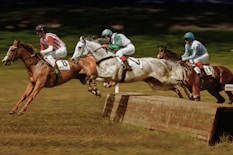 man in white shirt riding brown horse during daytime