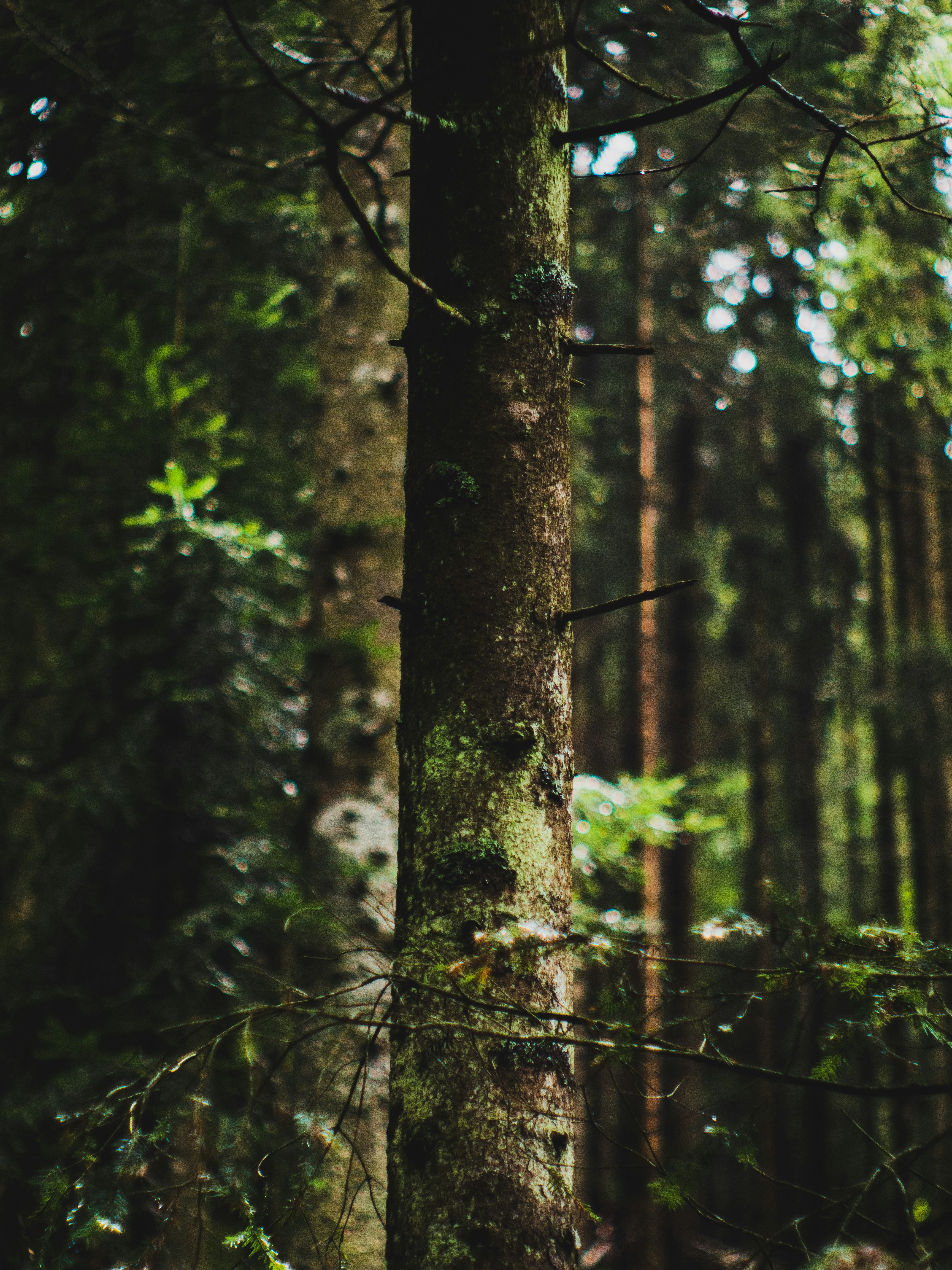 Photo by marco_pedruzzi_ph