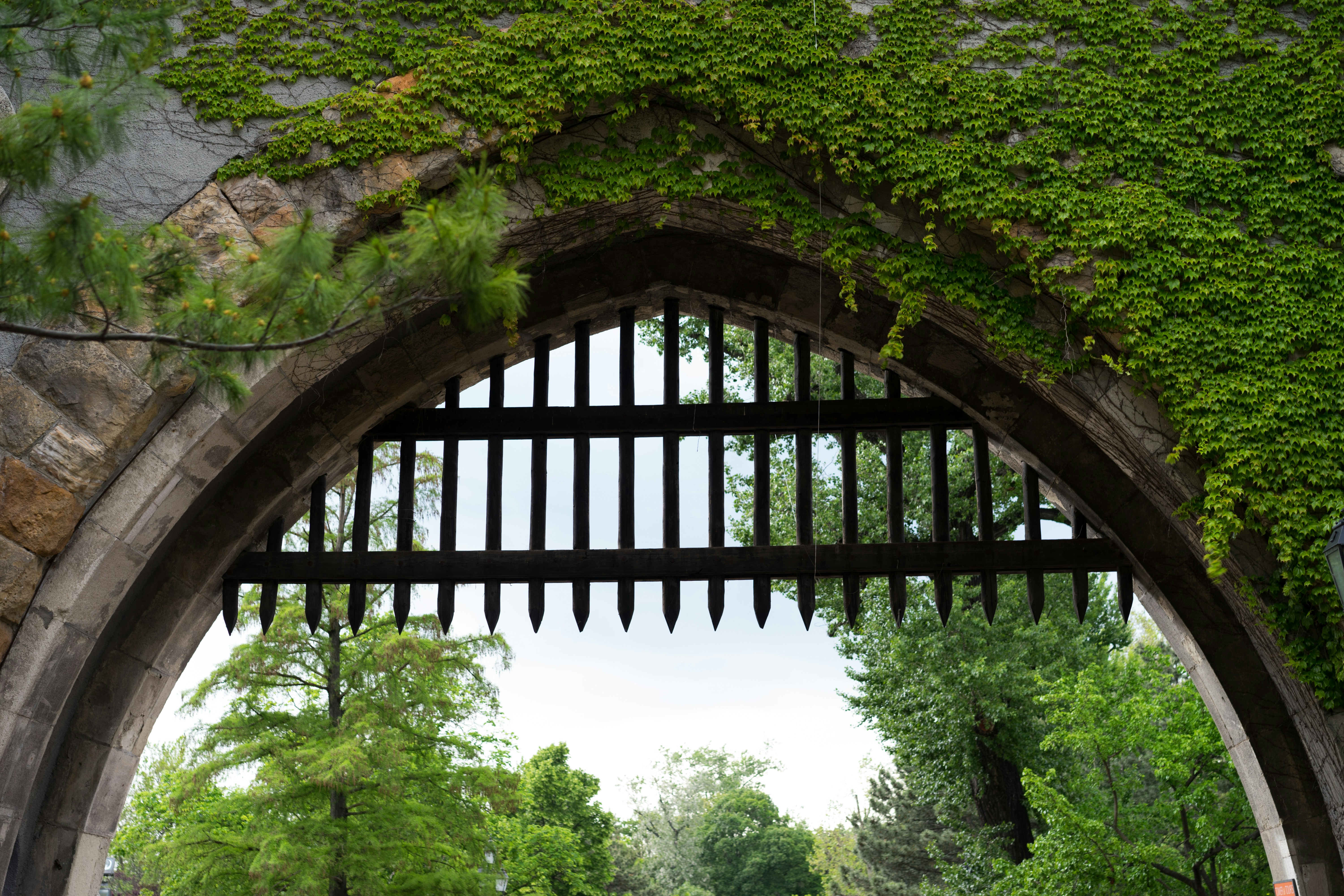 Photo by raimondklavins