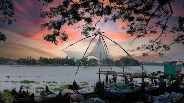 What to See in Kochi: A Local's Guide to Exploring the City