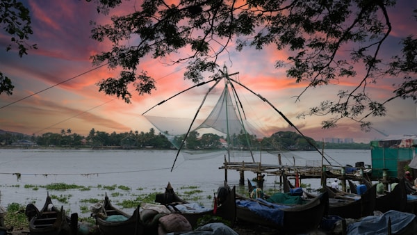 Exploring Kochi's Authentic Cuisine: Local Dishes, Restaurants & Traditional Recipes