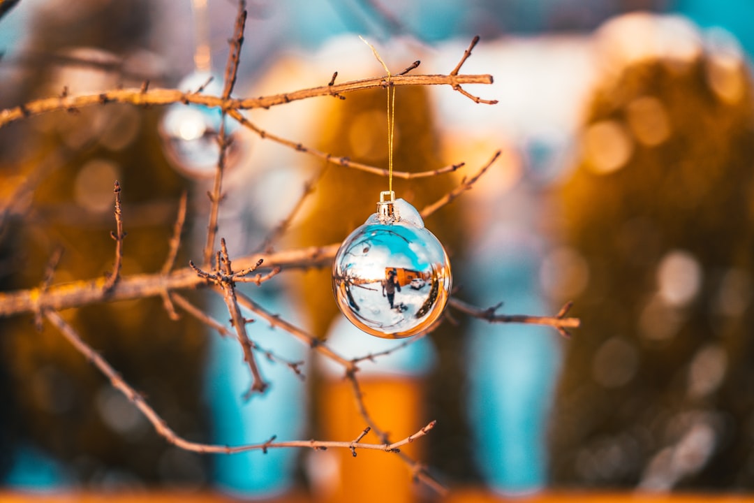 blue and white bauble on brown tree branch