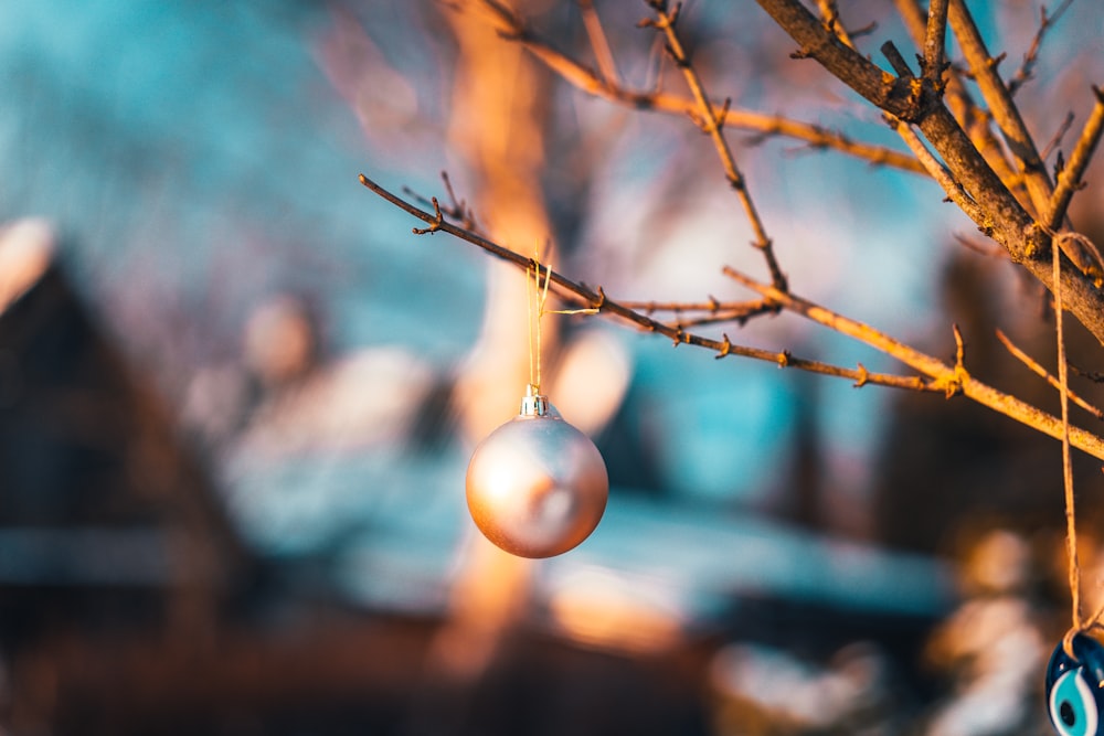 white round ornament on brown tree branch