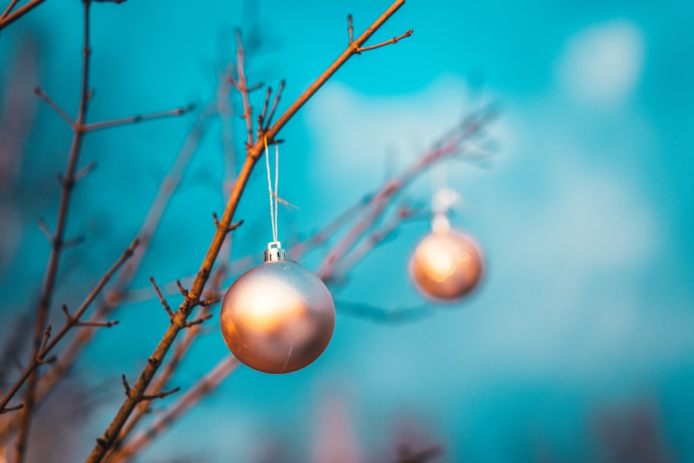 pink and white baubles on tree branch
