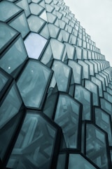 white and black glass building