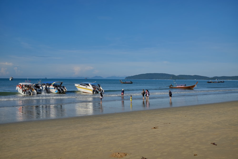 people on beach during daytime