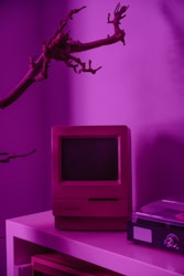 Gaming & Entertainment