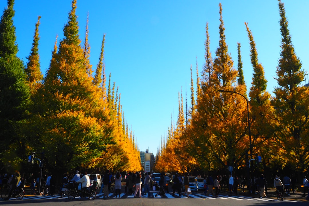 people walking on street during daytime