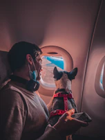 A pet owner happily receiving updates on their pet’s progress via smartphone during a travel accompaniment.
