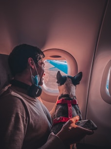 A person and a dog sit together next to an airplane window, with the person holding a smartphone and wearing headphones. The dog, donned in a red harness, is gazing out the window while the person appears relaxed, looking out as well. Soft light illuminates the cabin, creating a warm atmosphere.