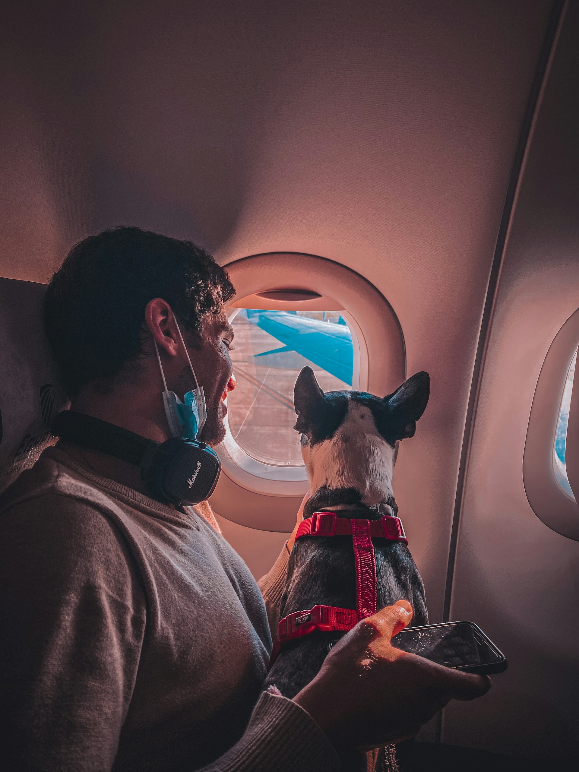 gray computer monitor