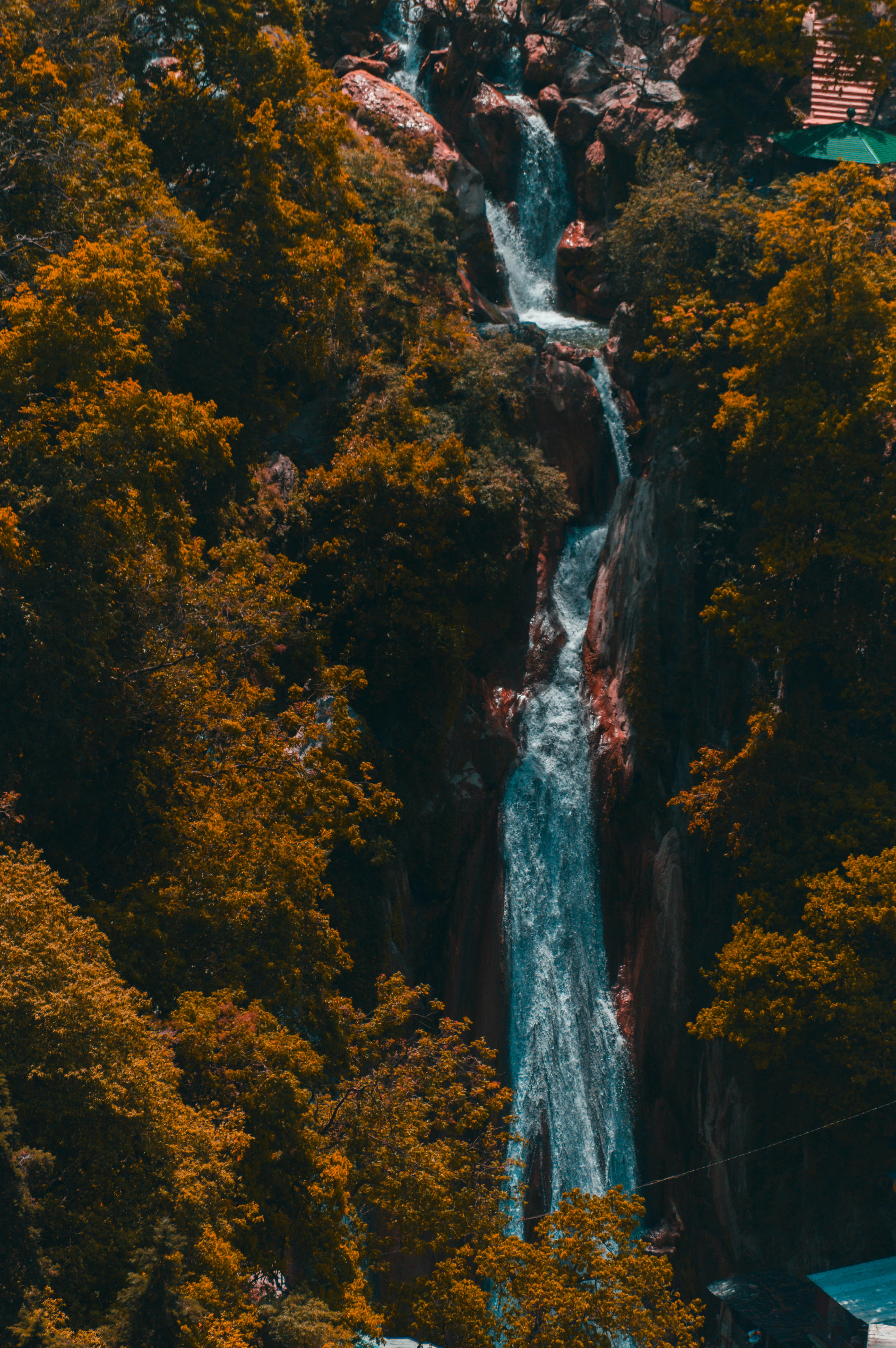 waterfalls in the middle of forest during daytime