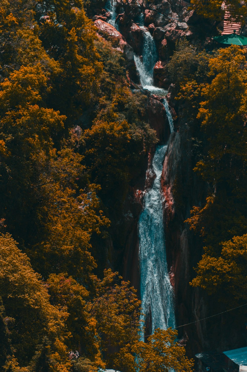 waterfalls in the middle of forest during daytime