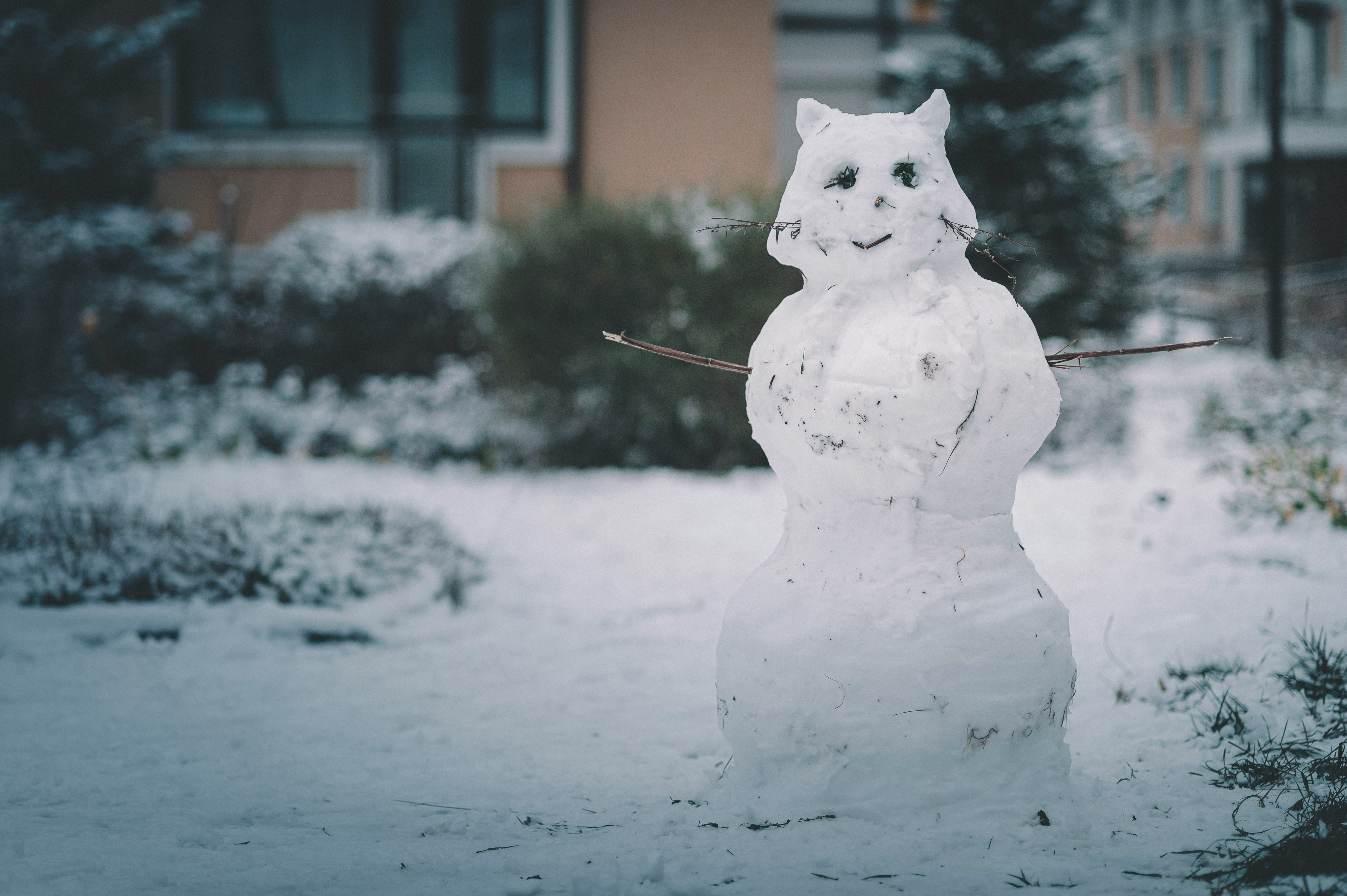 white snowman with red rose on mouth