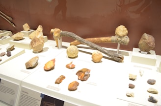 A collection of ancient artifacts displayed on white platforms, including various shaped stones and primitive tools. The tools are made from wood and stone, featuring hammers and cutting implements. Background silhouettes depict early humans and spears.