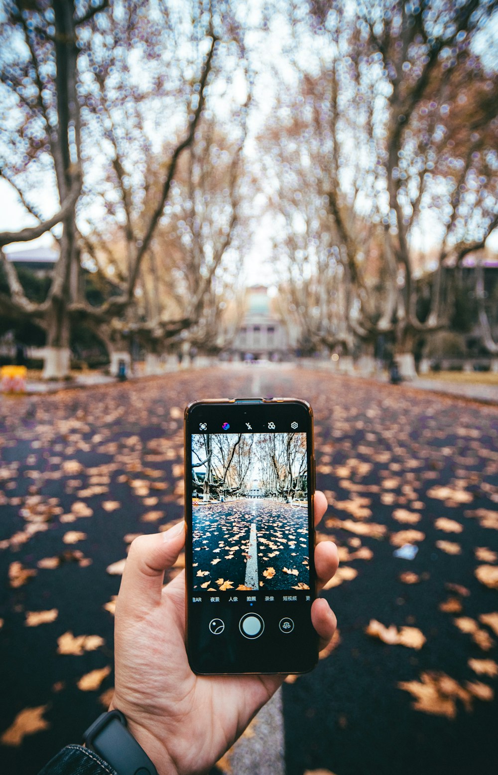 person holding black smartphone taking photo of city buildings during daytime