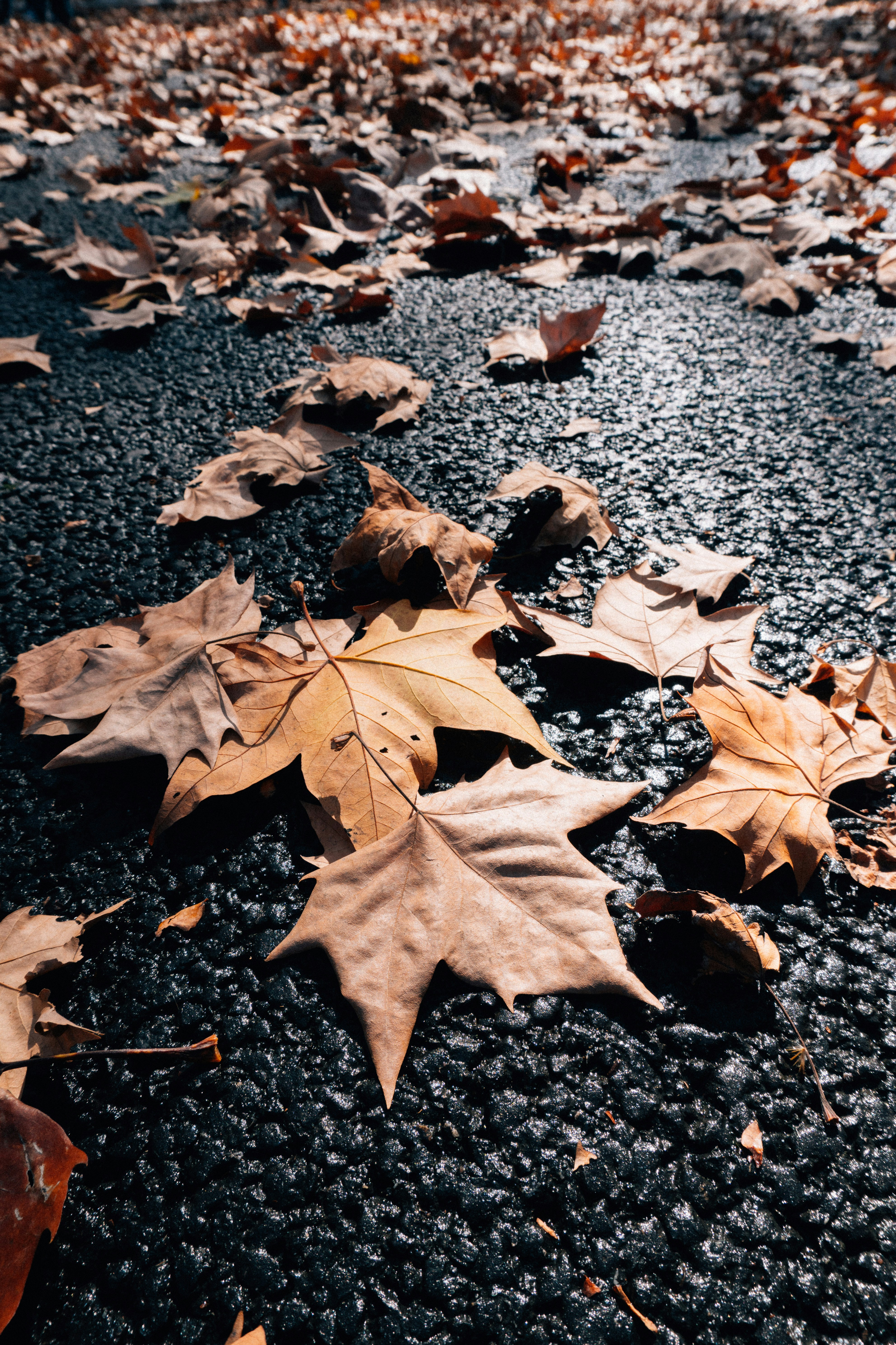 Photo by xianyuhao