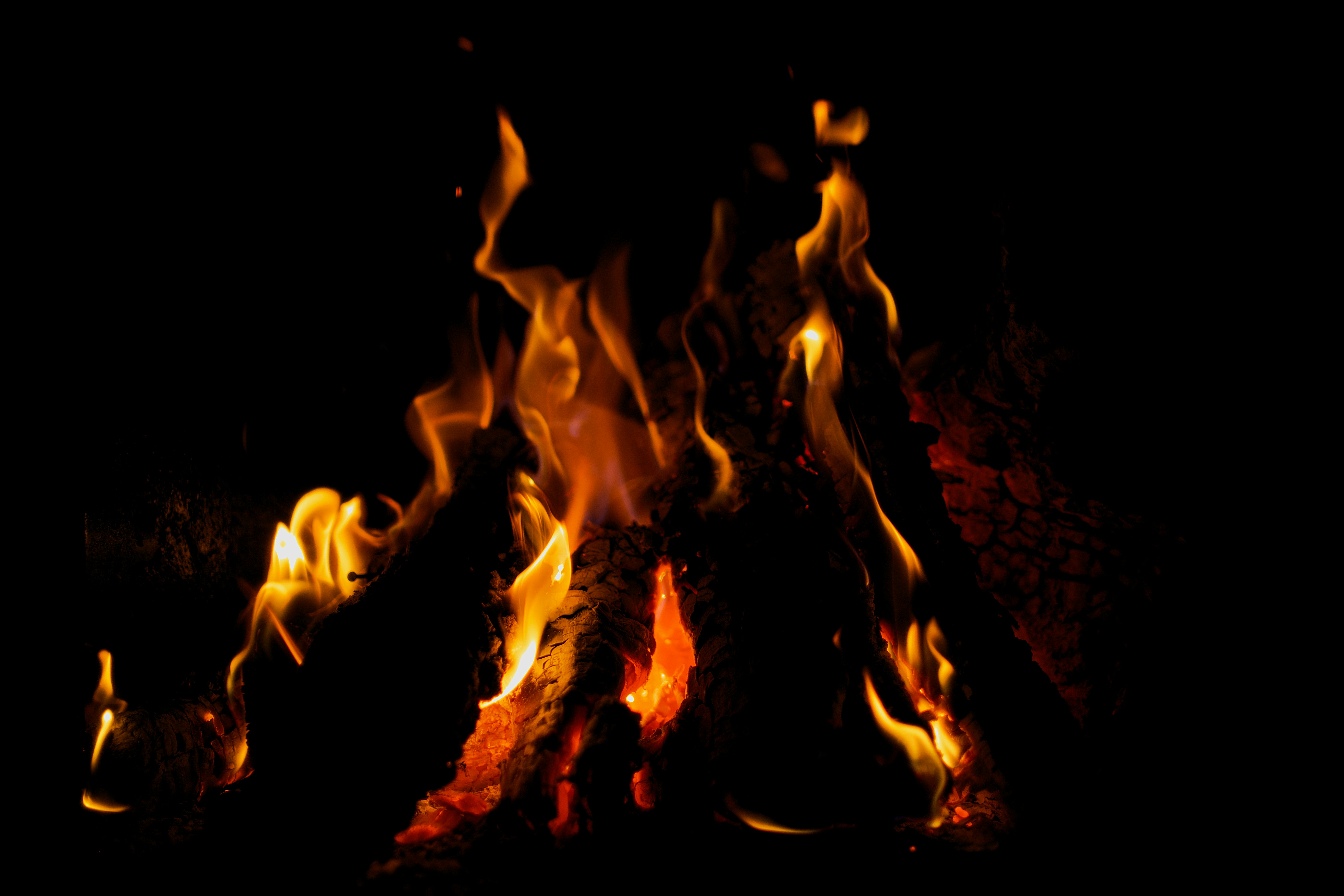 Photo by pf91_photography