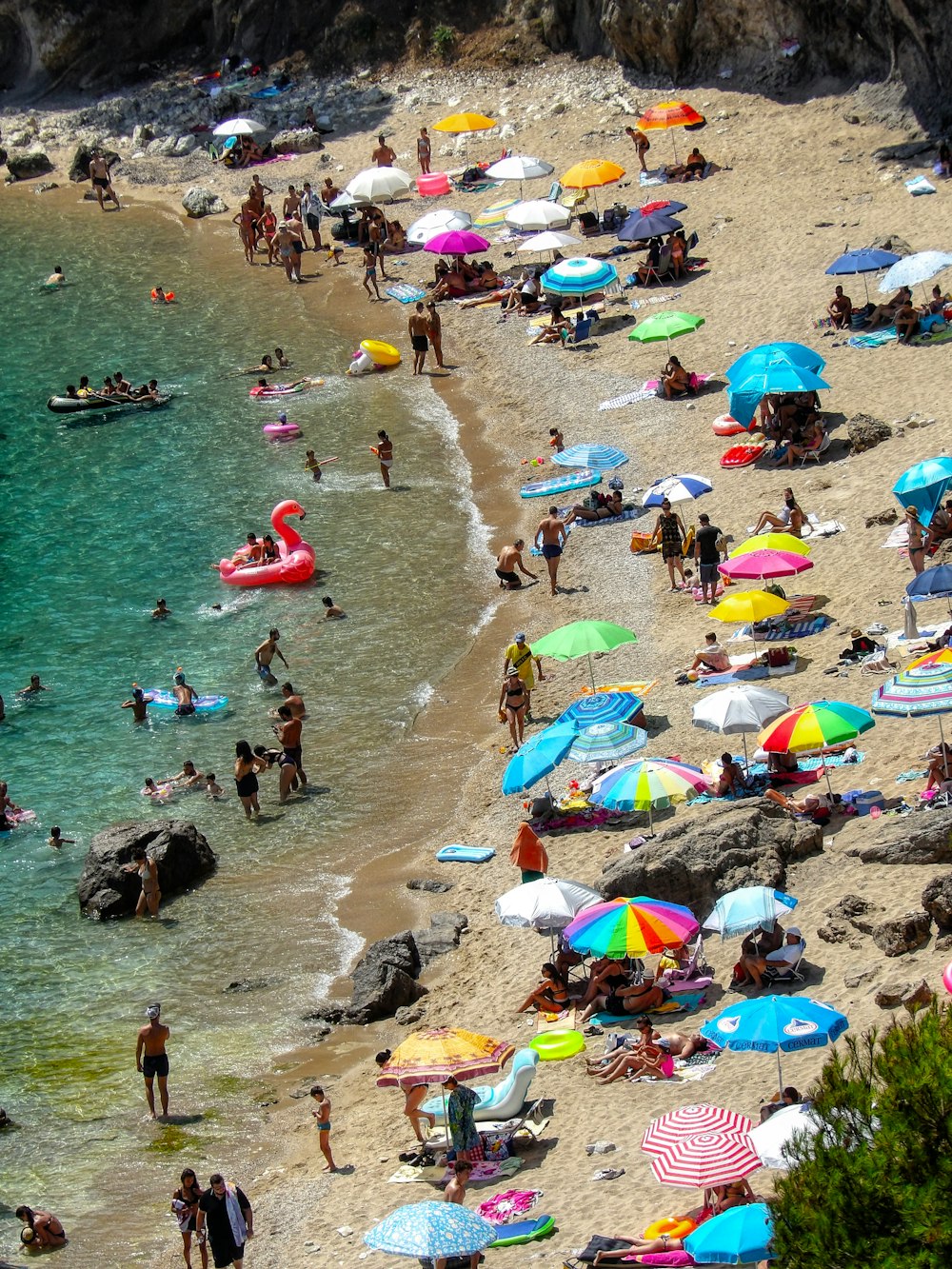 people on beach during daytime