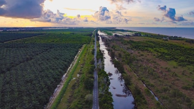 Aerial view of a long, straight road bordered by dense palm tree plantations on one side and a narrow river on the other. Lush greenery extends into the distance, transitioning into a coastal area with the sea visible on the horizon. The sky is partly cloudy with a warm glow from the setting or rising sun.