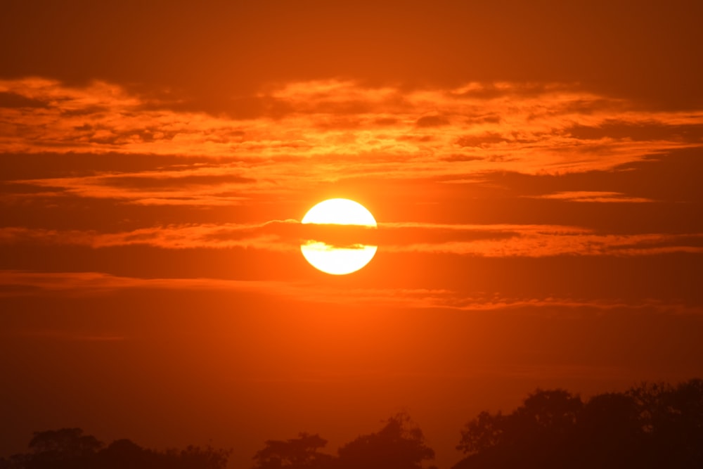 Silueta de árboles durante la puesta del sol