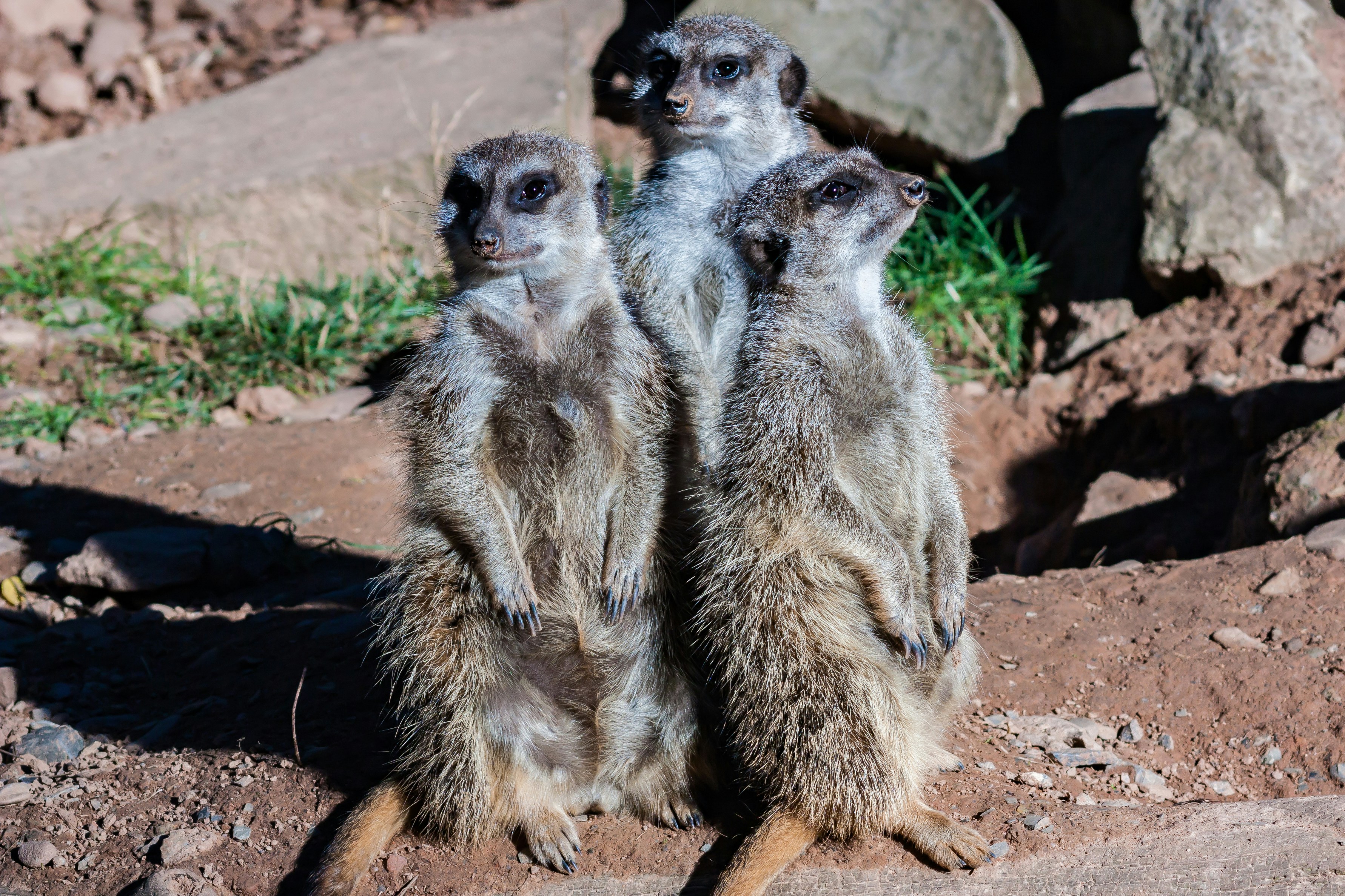 Photo by bernhard_dinger