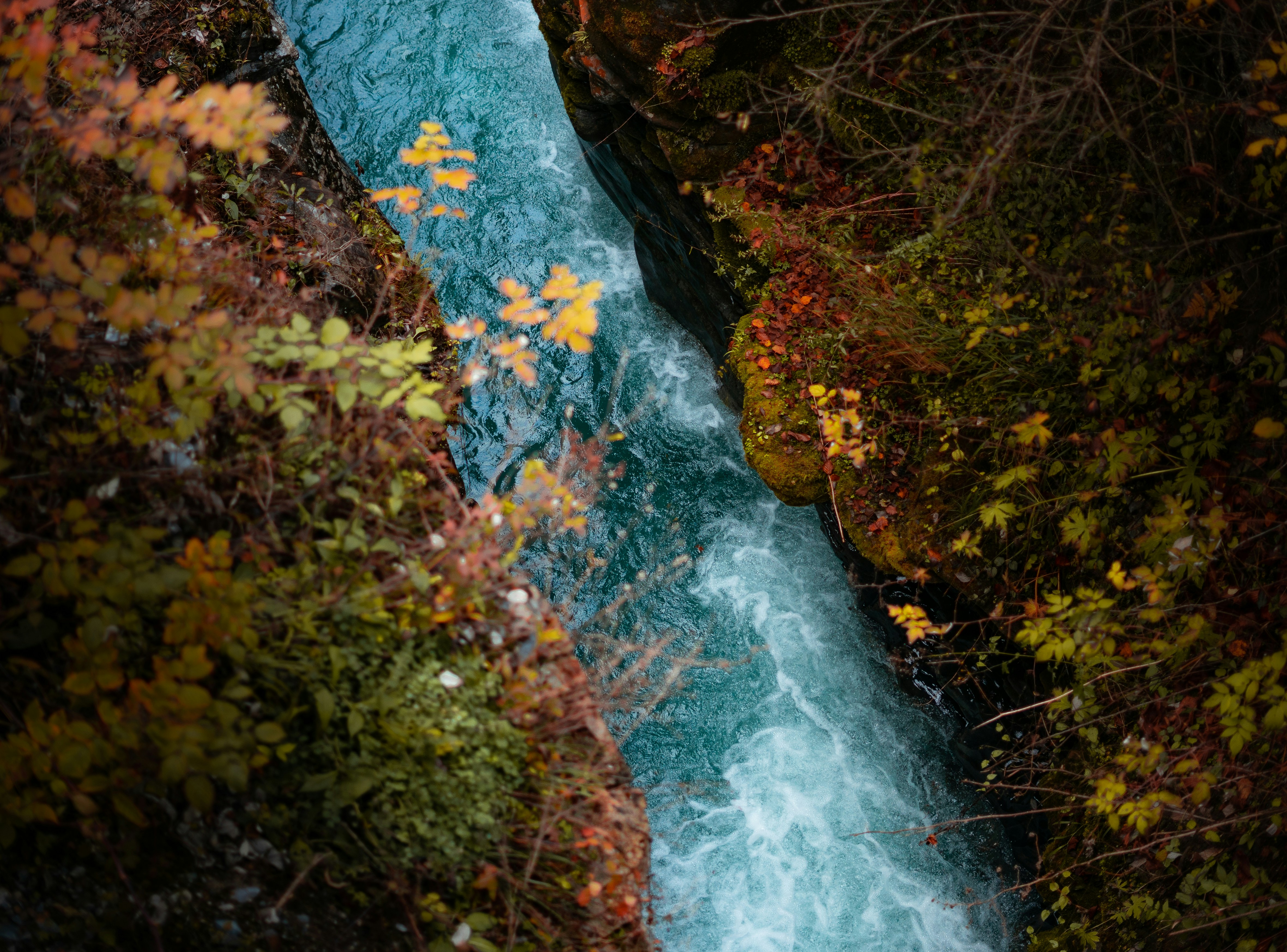 Photo by _sleepyarts_