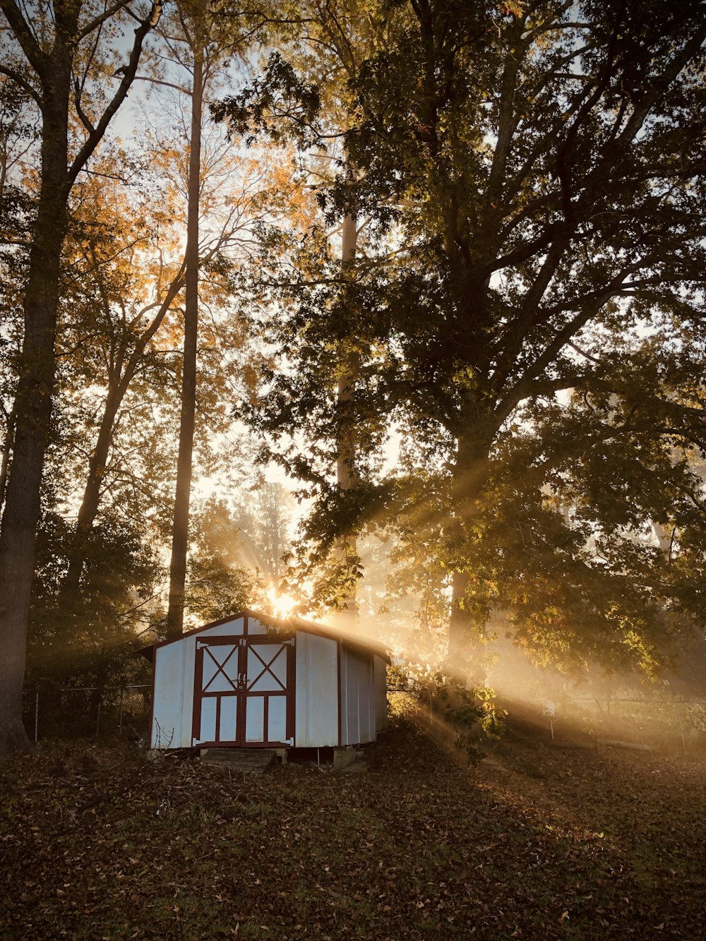 Casa di legno bianca e blu nella foresta durante il giorno