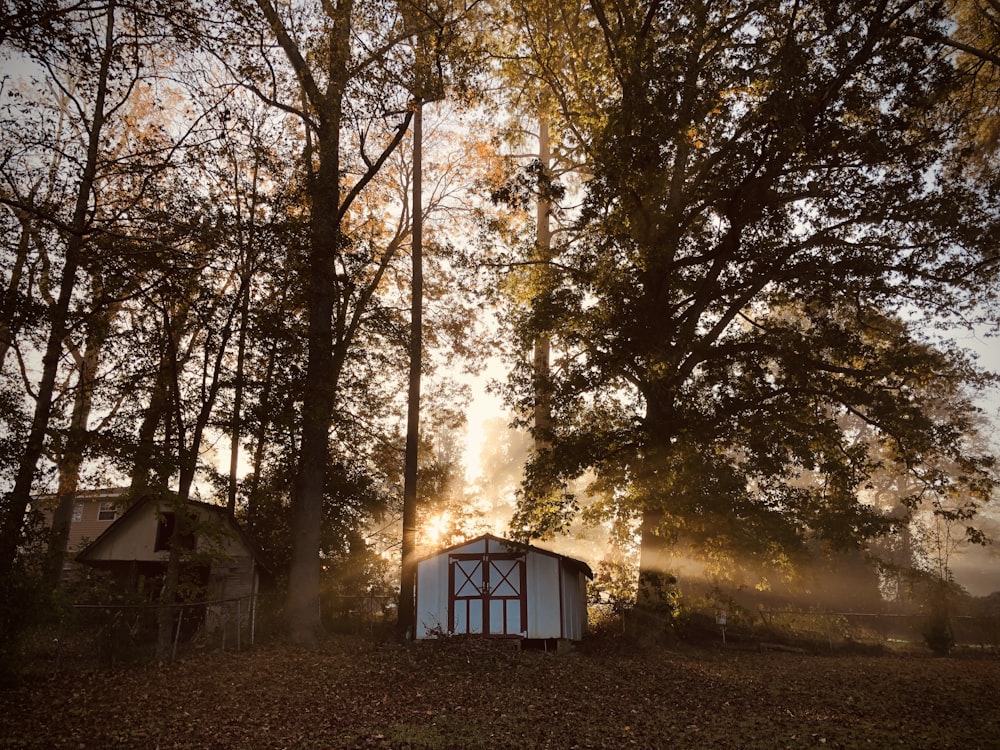 casa de madeira branca e azul na floresta durante o dia