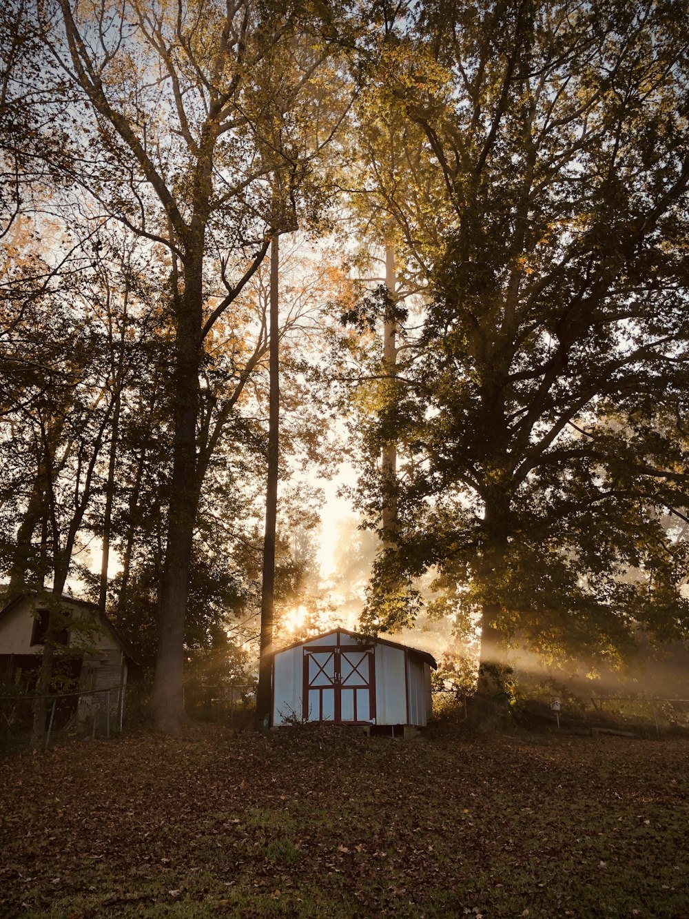 casa branca e azul cercada por árvores