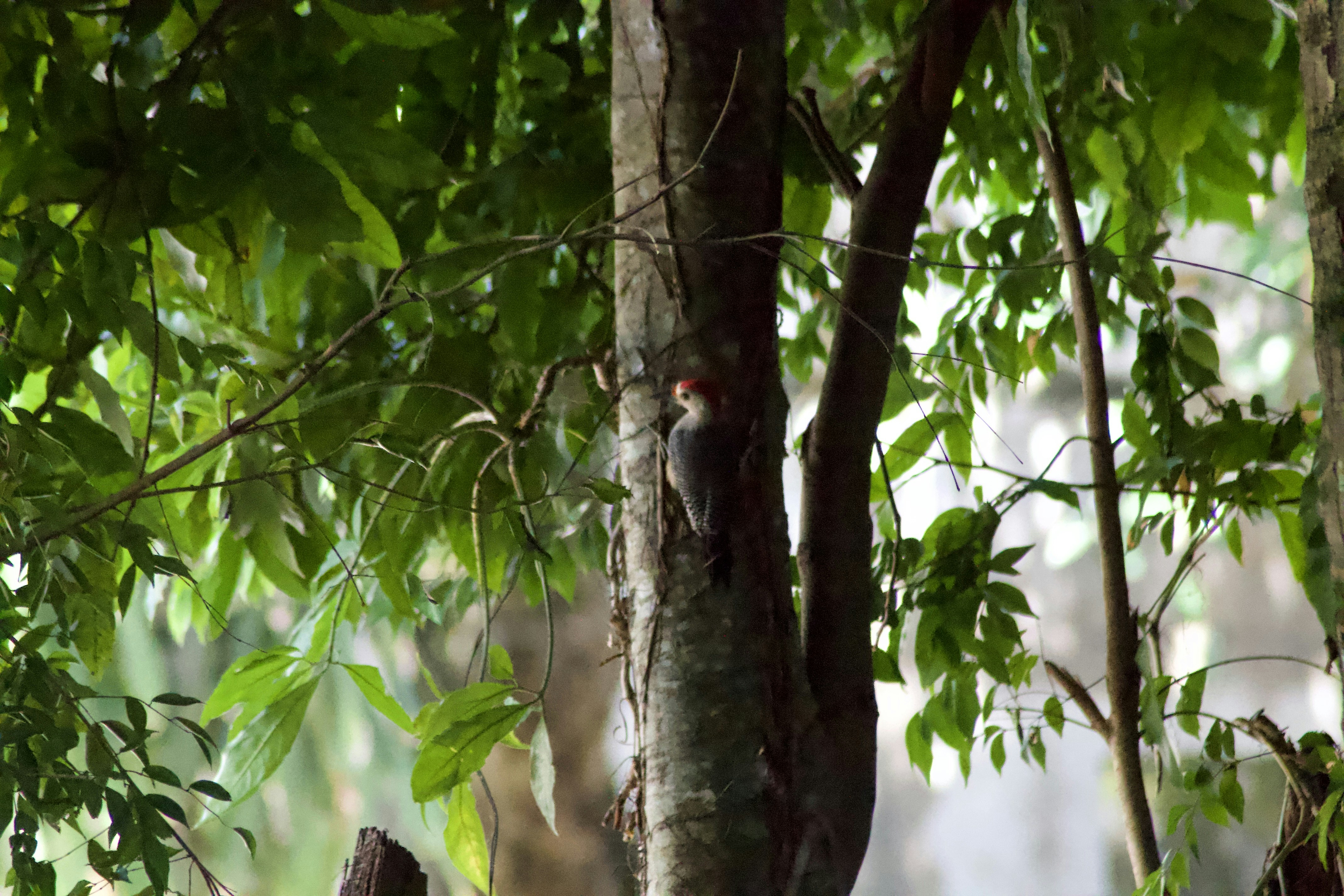 Photo by alexphotographers