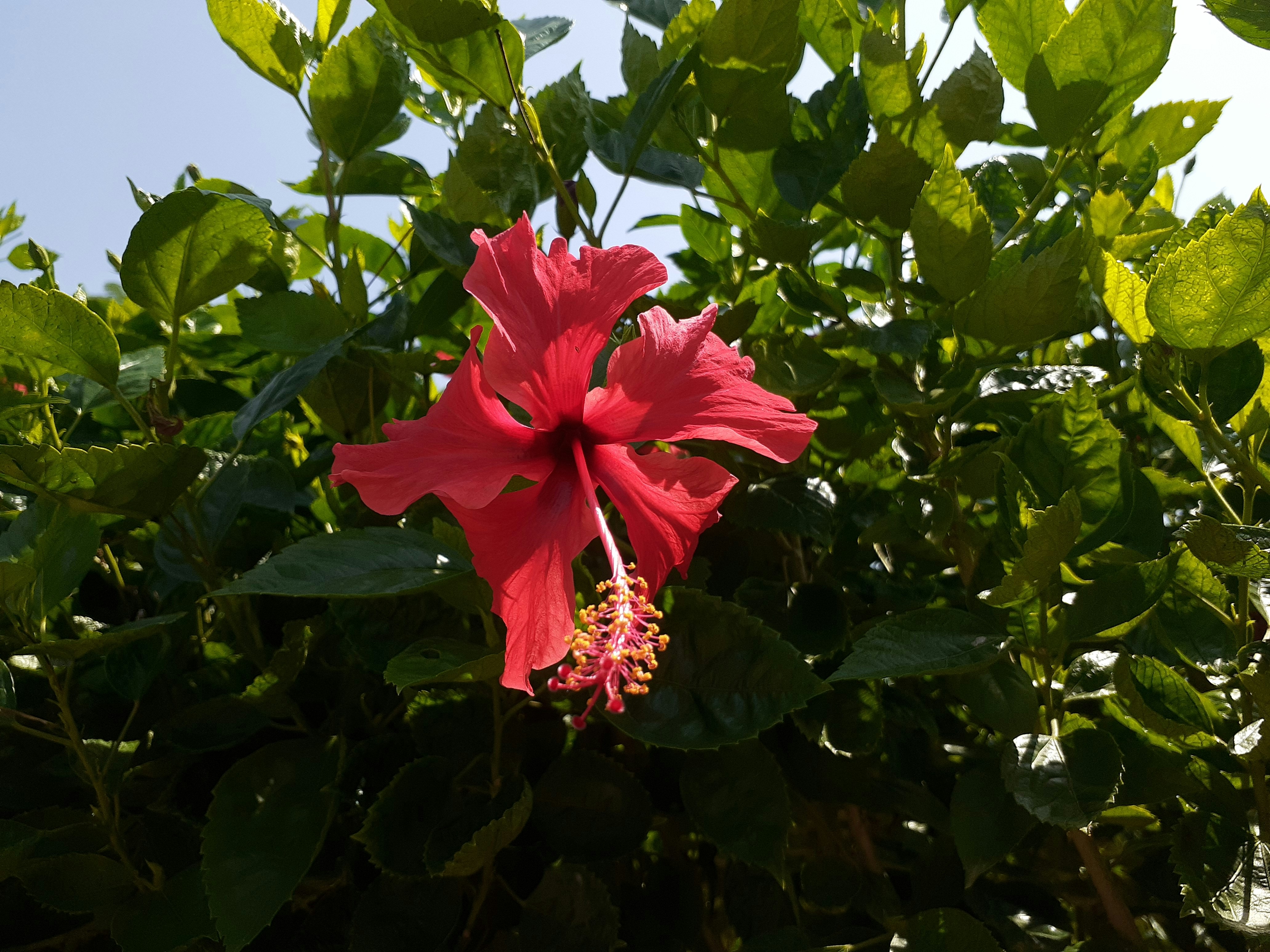 Photo by dhruv_gupta