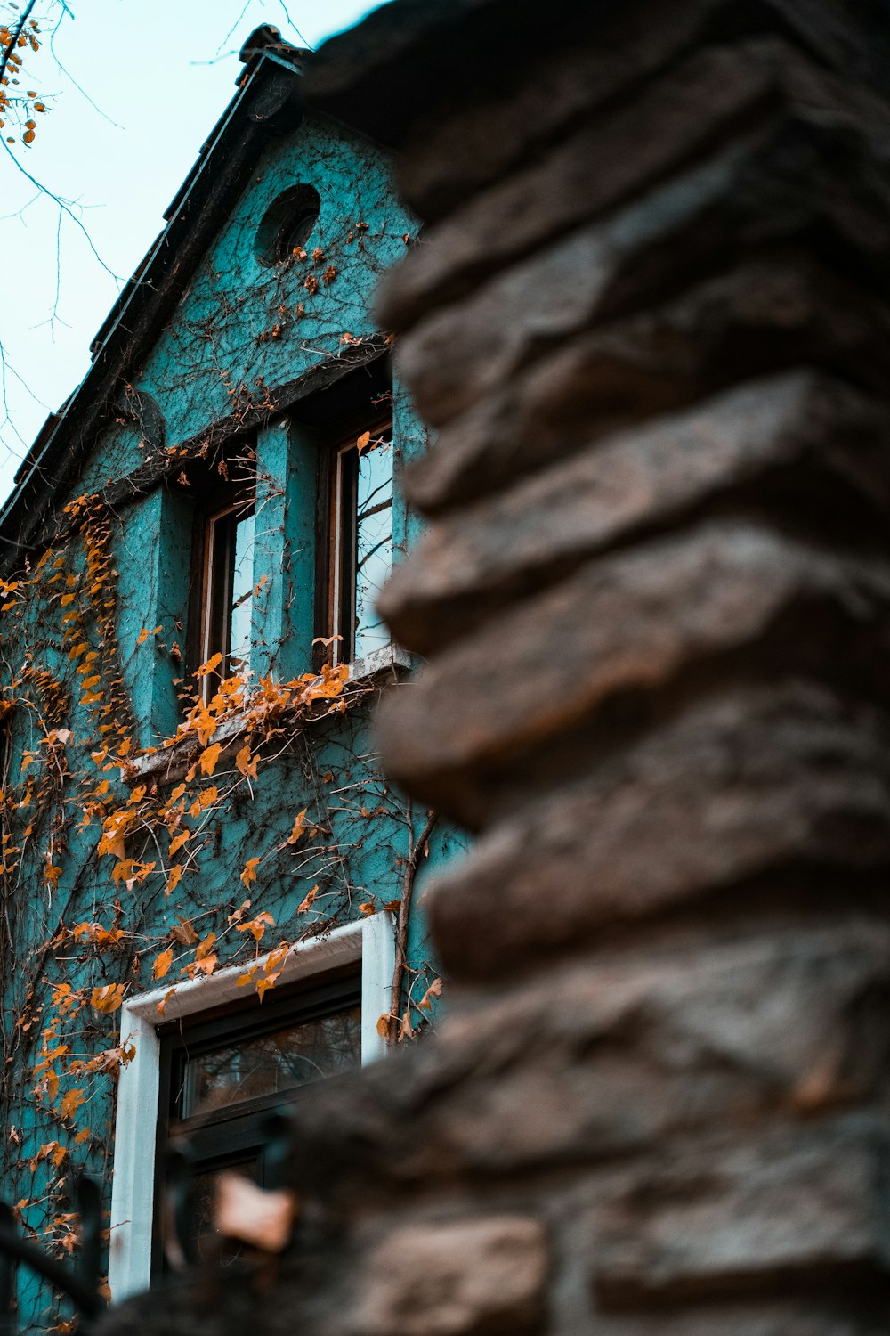 blue and brown concrete building