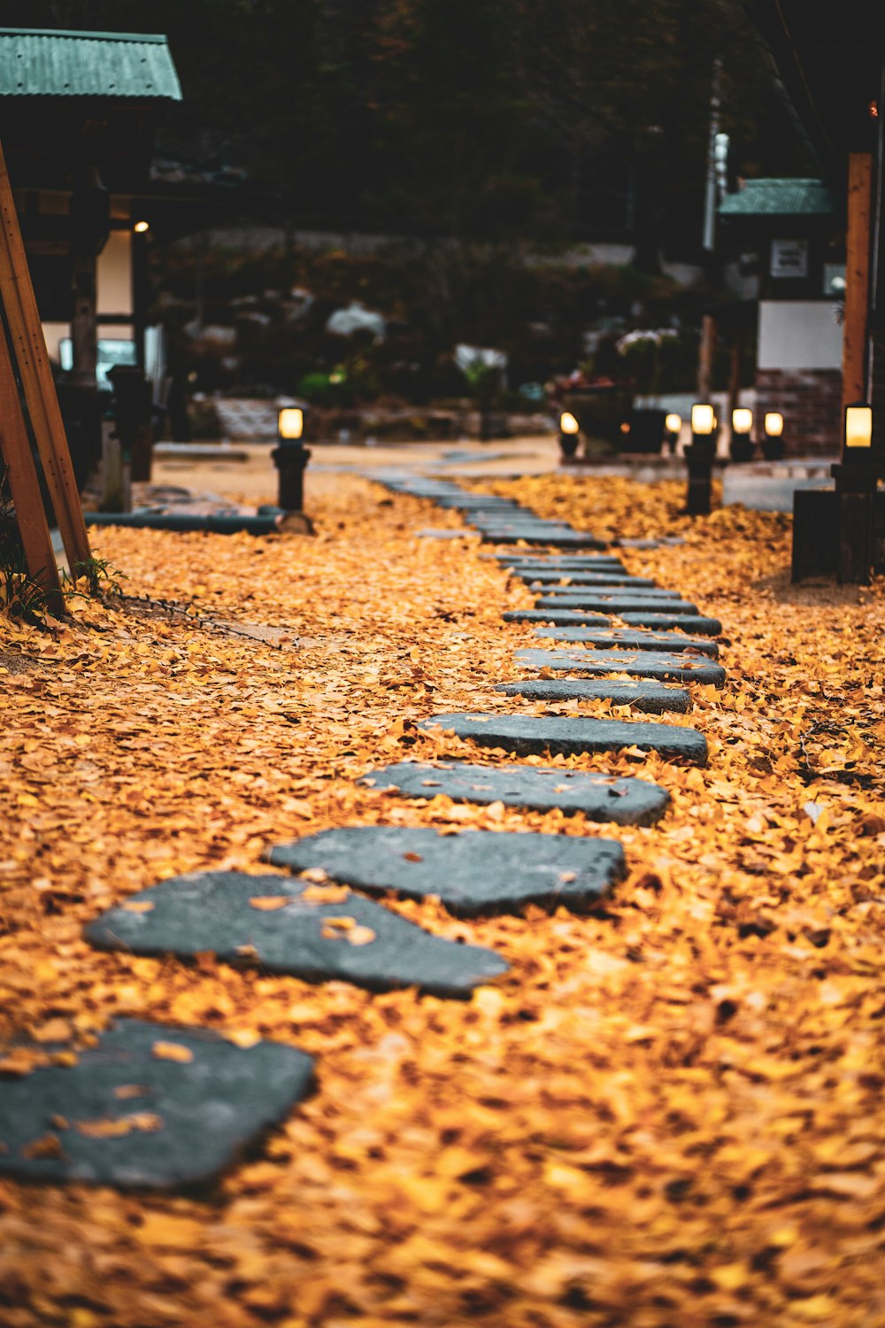 brown wooden bench on brown soil