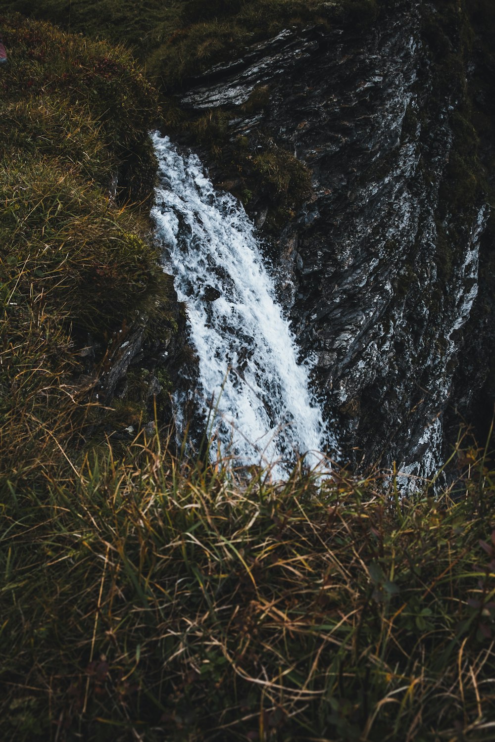 water falls on green grass