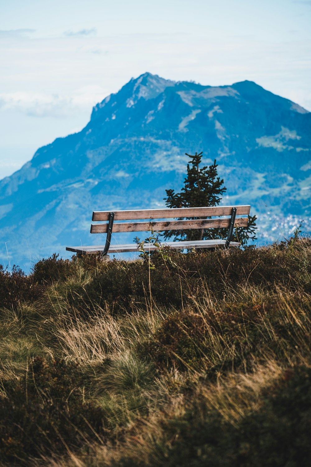 brown wooden bench on green grass field near mountain during daytime