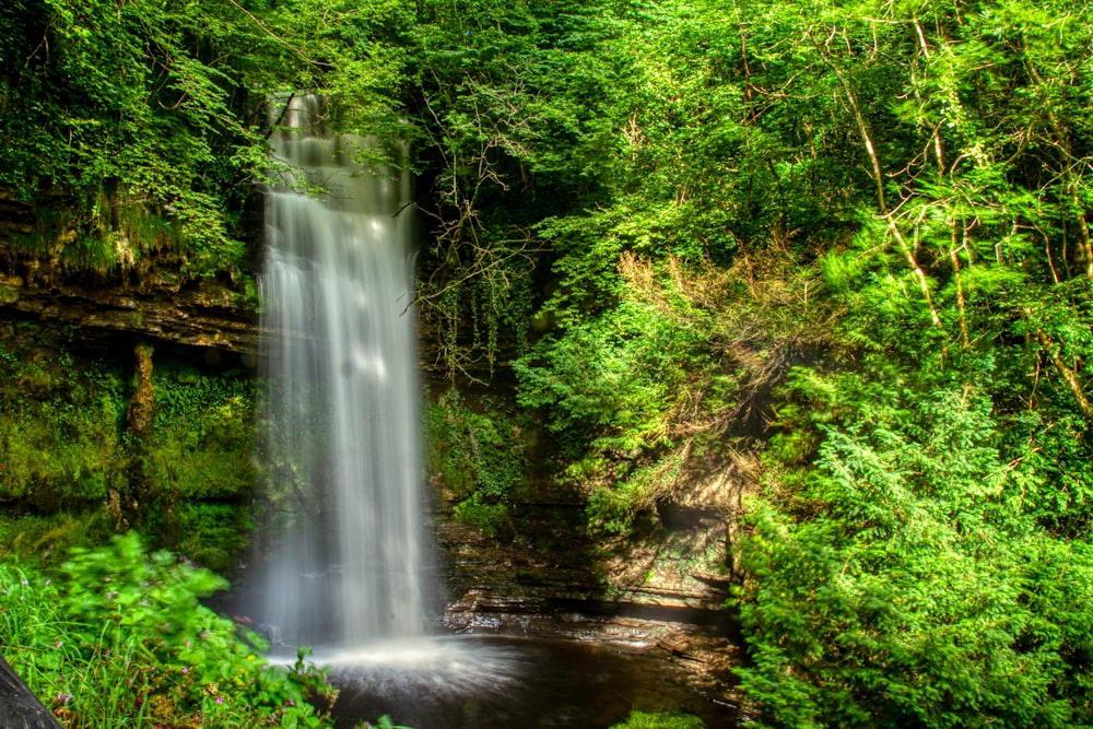 waterfalls in the middle of green trees