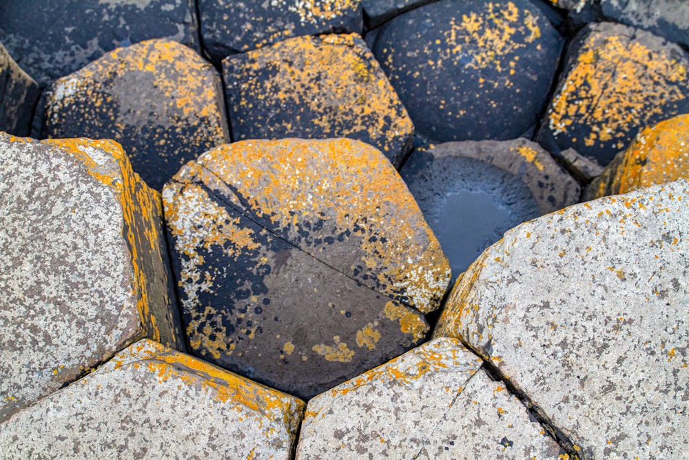 white and black stone on water