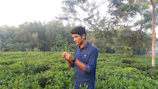 Happy farmer inspecting green fields near a bioenergy plant.