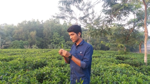 A group of farmers inspecting medicinal plants in a lush green field.