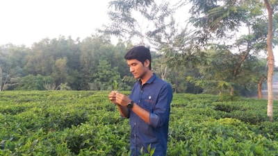 A farmer inspecting healthy plants, hands gently touching the leaves.