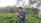 Close-up of a man inspecting pepper plants in a sunny field.