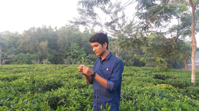 A researcher examining soil samples in a lush green field under a bright sky