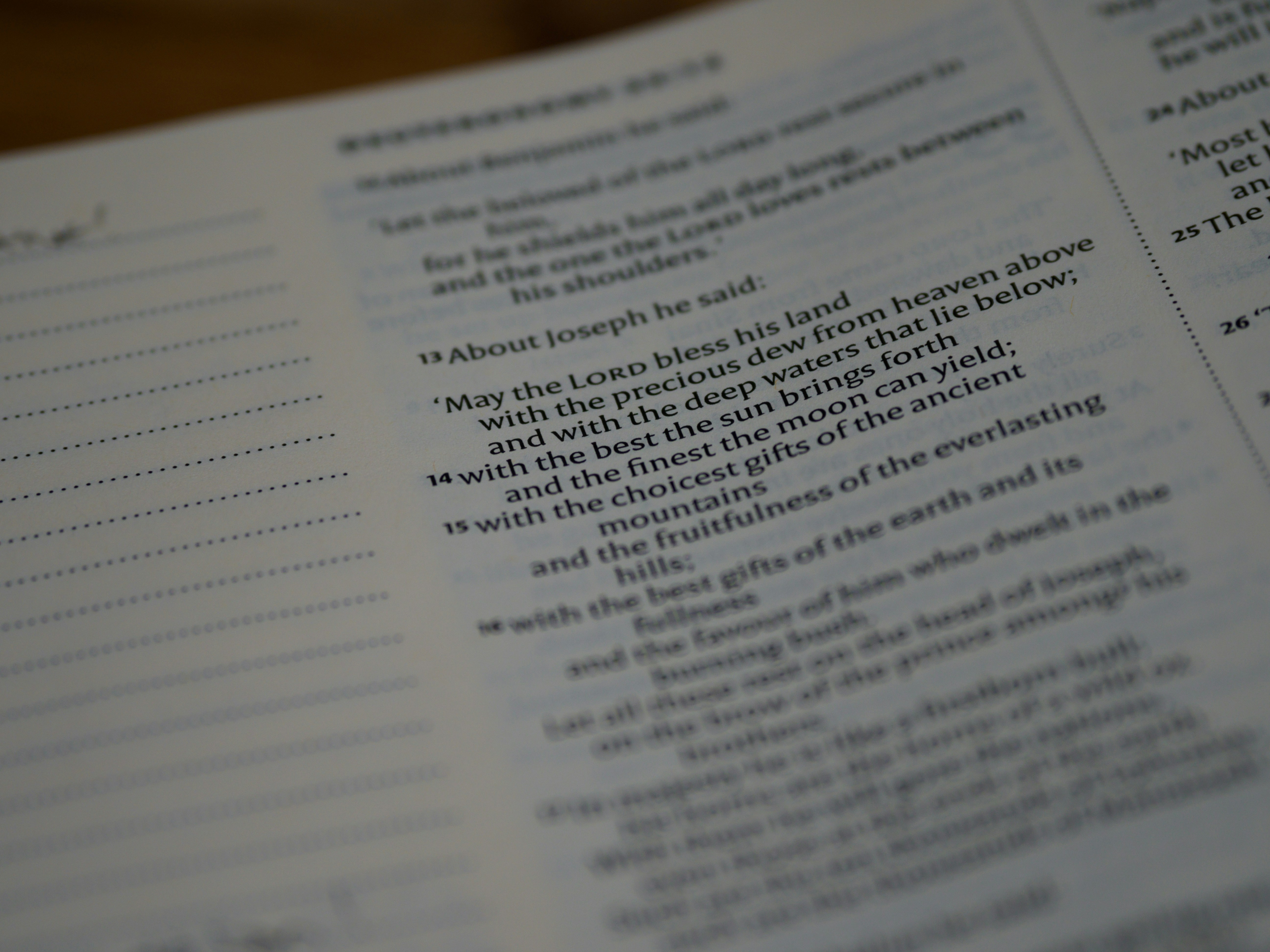 Photo by brett_jordan