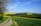 A picturesque landscape with a dirt path winding through lush green fields and farmlands. Multiple wind turbines stand scattered across the hills in the distance, generating renewable energy. A clear blue sky stretches overhead, and a tree with budding branches is visible on the side.