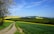 A picturesque landscape with a dirt path winding through lush green fields and farmlands. Multiple wind turbines stand scattered across the hills in the distance, generating renewable energy. A clear blue sky stretches overhead, and a tree with budding branches is visible on the side.