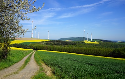 A picturesque landscape with a dirt path winding through lush green fields and farmlands. Multiple wind turbines stand scattered across the hills in the distance, generating renewable energy. A clear blue sky stretches overhead, and a tree with budding branches is visible on the side.