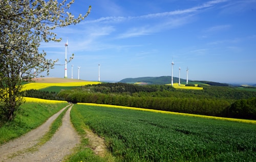 A picturesque landscape with a dirt path winding through lush green fields and farmlands. Multiple wind turbines stand scattered across the hills in the distance, generating renewable energy. A clear blue sky stretches overhead, and a tree with budding branches is visible on the side.